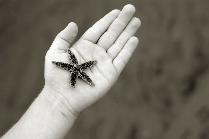 Image for Things To Do Museum of Coastal Carolina