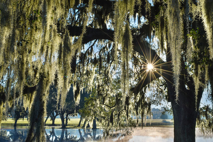 Image for Things To Do Sunset Beach Park